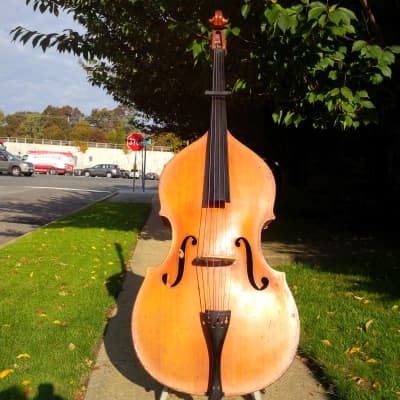 Kay 5 String-3/4 Upright Bass, Bass Fiddle, Double  Bass-Shop Setup-w/Ultralite Case and Bow image 1