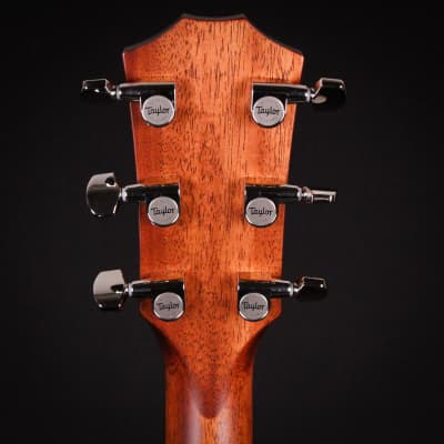Taylor 314ce Special Edition Rosewood / Sitka Spruce Grand Auditorium Acoustic Electric Guitar 2023 (1209133074) image 7