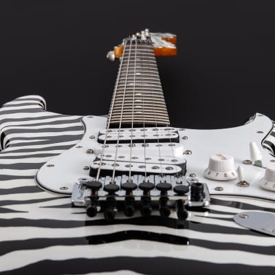 Dommenget Mastercaster  Matthias Jabs Signature 2016 White Zebra image 9