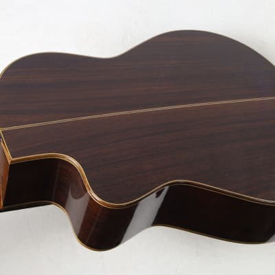 RARE Lucio Nuñez 10-String Classical Harp Guitar w/Cutaway, Arm Rest, Sound Port, Cedar/Cocobolo, TKL Hardshell Case image 19