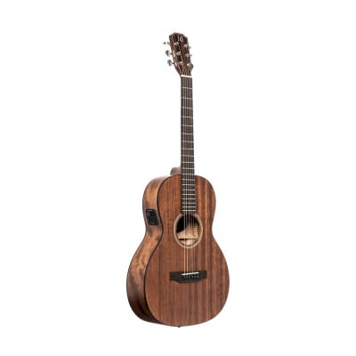 Acoustic Guitar JAMES NELIGAN Dov PFI + Fishman Pickup - solid mahogany top image 1