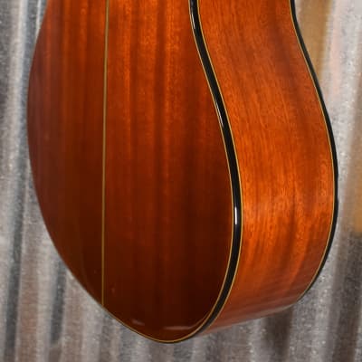 Washburn Guitars C40 Classical Nylon String Guitar & Bag #0087 image 8
