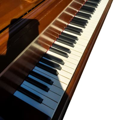 Gorgeous baby grand piano 4'9'' for concerts image 5