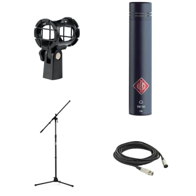 B&K 4006 Condenser Microphone Omni Brüel & Kjær Bruel and Kjaer DPA Mic |  Reverb