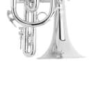 Bach 184SML Stradivarius B-Flat Cornet Outfit - Silver Plated