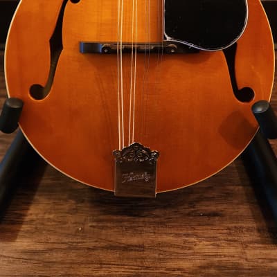 Kentucky KM-252 Mandolin in Amber with gigbag for sale