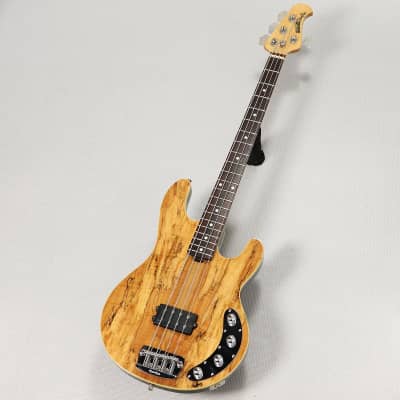 Music Man Limited Edition Spalted Maple Stingray 04/08 | Reverb