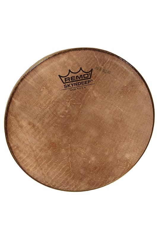 REMO パンデイロ　SKYNDEEP USA製 Drum Skins Remo Skyndeep Pandeiro Head 10" UC Drum