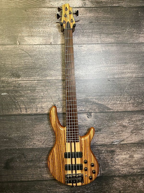 Cort A5 Custom Z 5 String Bass Guitar (Springfield, NJ) | Reverb