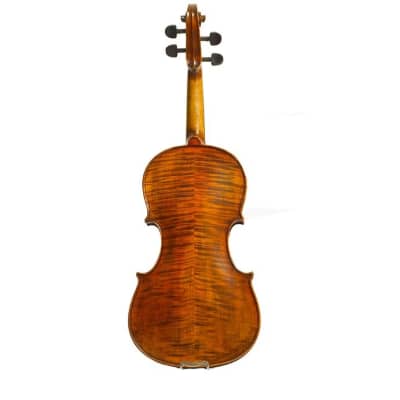 Stentor Arcadia Violin 4/4 Full Size image 1
