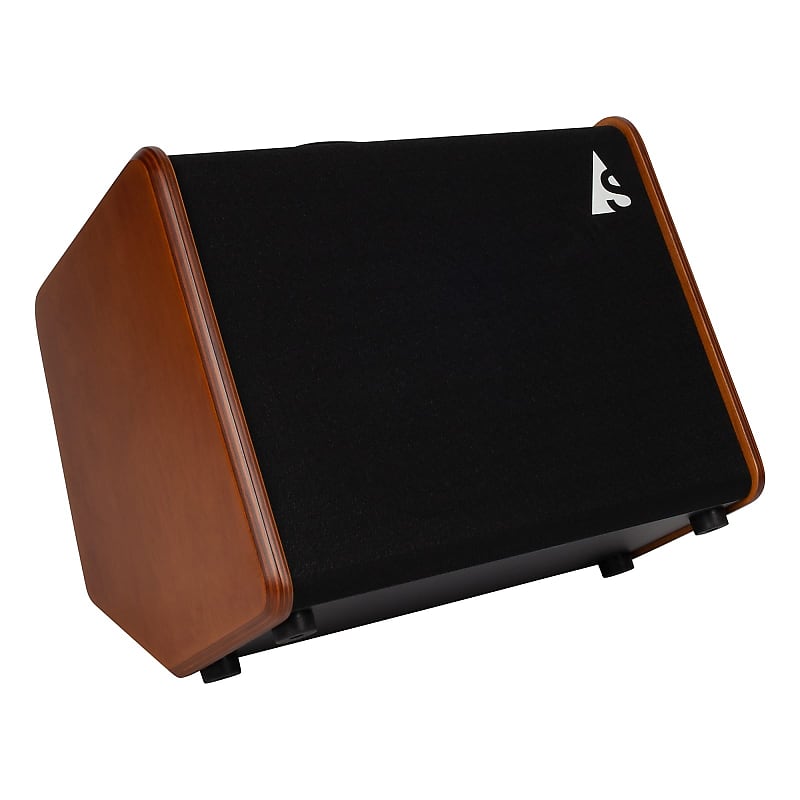 Godin	ASG-8 Acoustic Solutions 2-Channel 120-Watt 1x8" Acoustic Guitar Combo image 2