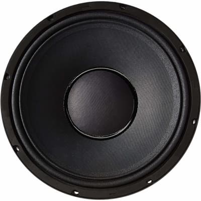 Speaker bw best sale 12 inch