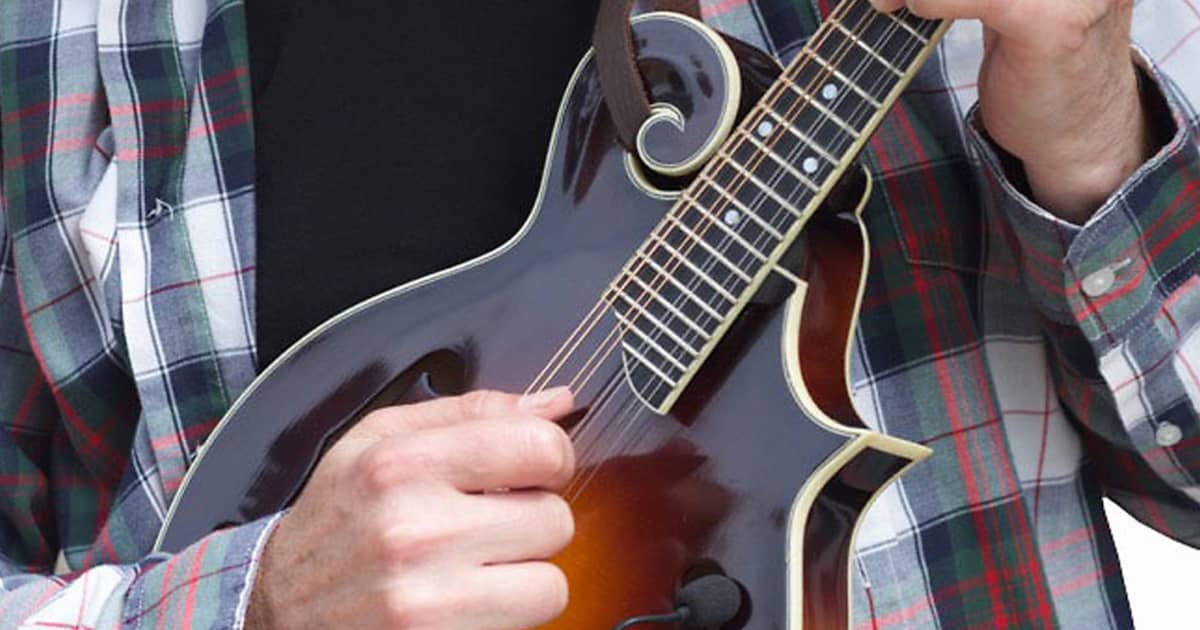 The Basics of Mandolin Construction, Materials and Reverb News