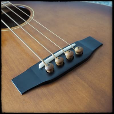 Morgan Monroe Creekside MVAB-500 Acoustic Bass image 13