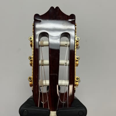 Salvador Ibanez GA60SCE-14-02 Acoustic Classical Electric Guitar with Case image 3