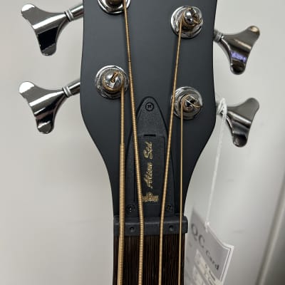 Warwick Alien Standard 4 | Reverb