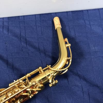 B & S Series 1000 Pro Professional Eb Alto Sax Saxophone with Case Made in Germany image 3