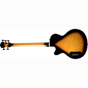 Washburn AB45VSK 5-String Acoustic-Electric Bass Guitar Vintage Sunburst image 2