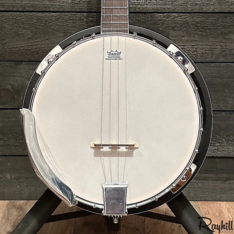 Danville Tenor 4-String Resonator Banjo image 1