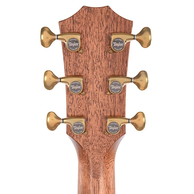 Taylor Builder's Edition 816ce with V-Class Bracing image 7