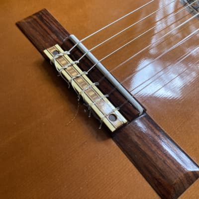 かめきち 1970年　タトー　12枚揃い Tokai Model 12 Classical Spanish Guitar Made in Japan 1960s