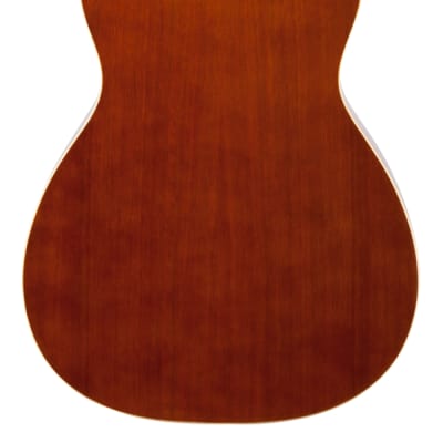 Ibanez PN15 Parlor Acoustic Guitar Brown Sunburst image 6