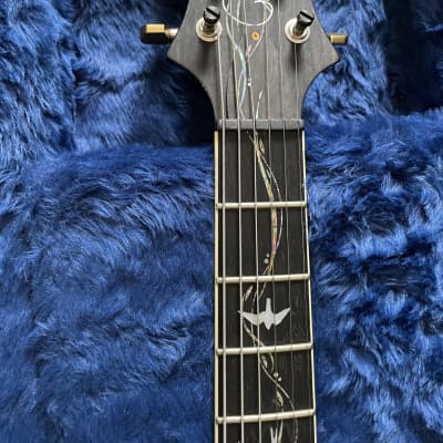 Paul Reed Smith Custom 22 30th Anniversary Vine McCarty 2015 Copperhead Limited Edition image 4