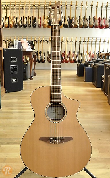 Breedlove AN250/CR Natural image 3