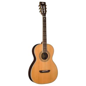 Washburn WP11SNS （管理サヒ） Washburn WP11SNS （管理サヒ） - メルカリ