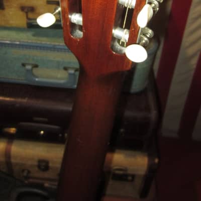 1964 Gibson C-0 Classical Nylon String Natural image 5