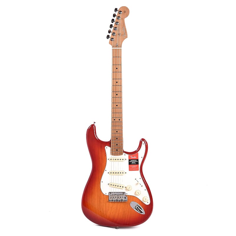Fender American Professional Stratocaster with Roasted Maple Neck image 1