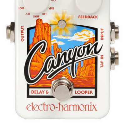 ELECTRO-HARMONIX Canyon - Delay & Looper Effekt Pedal image 1