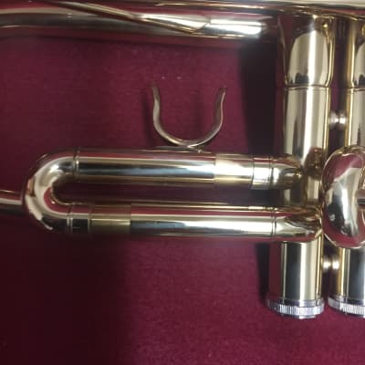 Monique Trumpet 2020's - Brass image 5