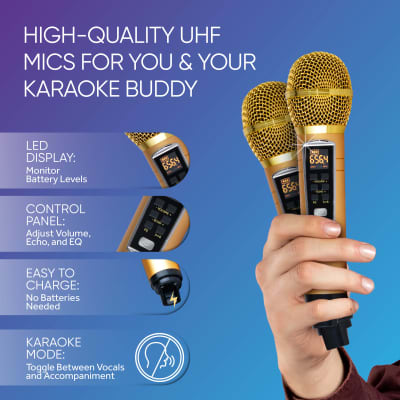 MASINGO Karaoke Machine for Adults and Kids with 2 UHF Wireless Microphones, Portable Bluetooth Singing Speaker, Colorful LED Lights, PA System, Lyrics Display Holder & TV Cable - Presto G2 Gold image 4