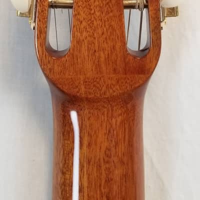 Gitane D-500 D Hole MacCaferri-Style Professional Gypsy Jazz Guitar, Solid Sitka Spruce Top, W/Protour Gig Bag 2023 image 13
