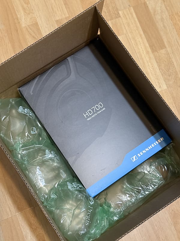 Sennheiser HD700 Audiophile &amp; Mastering Headphones - Open 2010s - Black  			