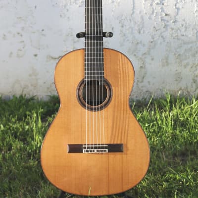 Brazilian Rosewood with Canadian Spruce Top (2020 ) Concert Classical Guitar Shellac /French Polish image 9