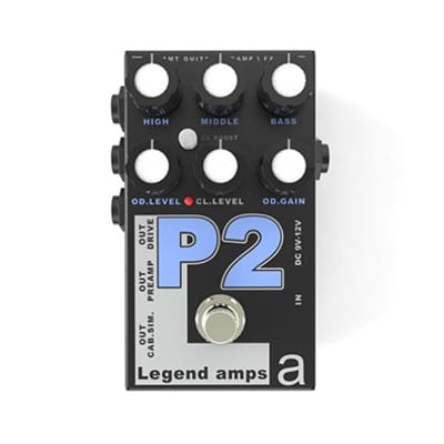 AMT Electronics Legend Amps II Series AMTP2 (emulates PV-5150) for sale