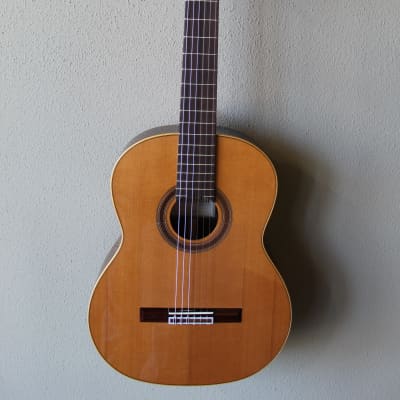 Brand New Cordoba F7 Paco Flamenco Negra Guitar with Gig Bag image 1