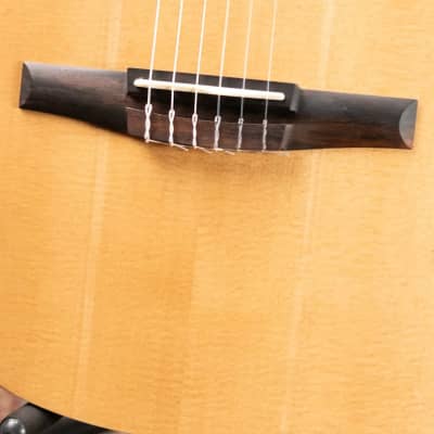 Taylor Academy 12e-N Nylon Grand Concert Acoustic/Electric Guitar with Gig Bag image 15