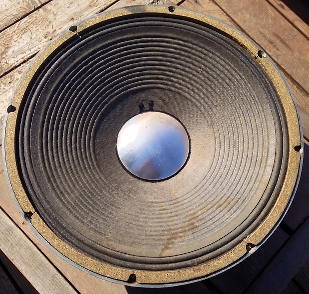 Fender 15 shop inch speaker