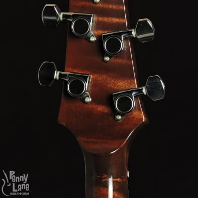 Nechville Diamond Blossom Maple Phantom 5 String Resonator Banjo with Case - 2012 image 8