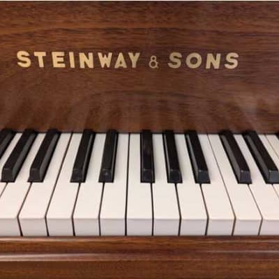 Unique Hamburg Steinway & Sons O Grand Piano Fully Restored from 1906 image 2