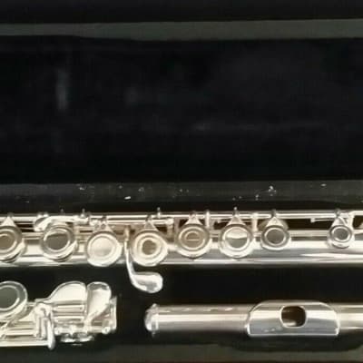 NEW Wm S Haynes Ventus VFL10S (Amadeus AF700) Silver Flute 14K Gold Riser Offset G Open Holes B Foot image 1