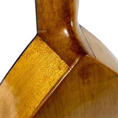 Concert Mandola Flat-Back Emanuele Egildo N°240 from 1920 image 9