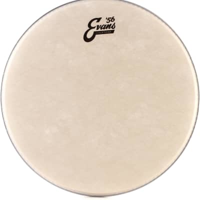 Evans Calftone Drumhead - 14 inch  Bundle with RTOM Moongel Drum Damper Pads - Clear (6-pack) image 3