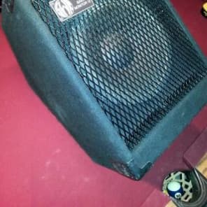 SWR Bass Monitor 12 Angeled Bass Cabinet with Tweeter