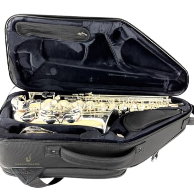 Selmer Paris Supreme 92SP Silver Plated Alto Saxophone Ready To Ship! image 1
