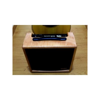 Guitarra Acustica y Amplificador TAYLOR BR-III Acoustic Guitar Amp Set image 10