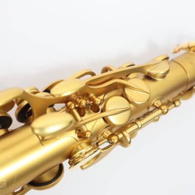 Freeshipping! H.Selmer 【Limited model】 Supreme Modele 2022 Alto saxophone image 14